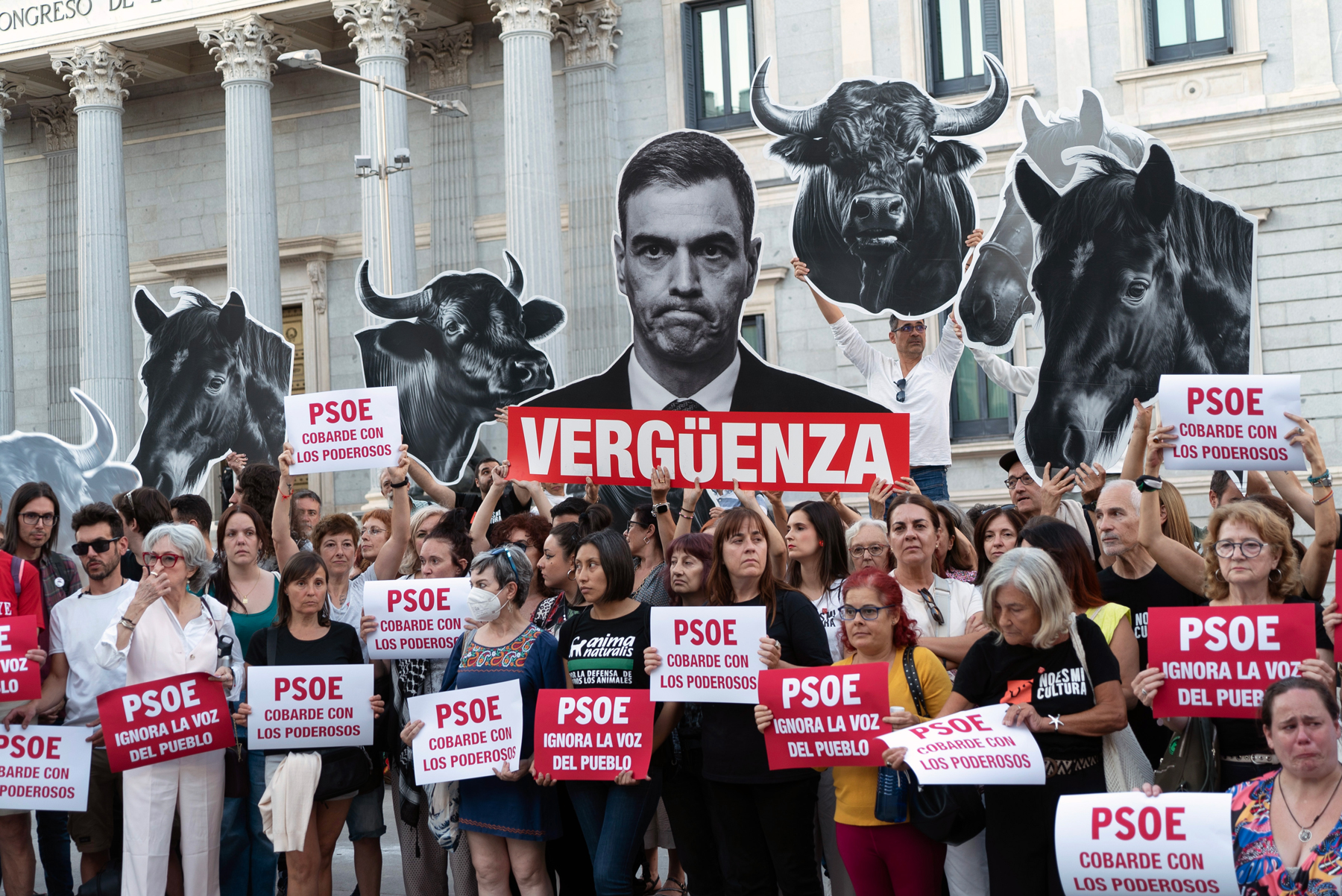 The socialists abandon animals victims of bullfighting in Spain